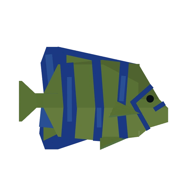Angelfish