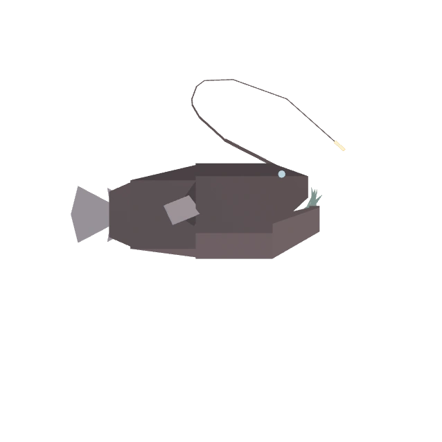 Anglerfish