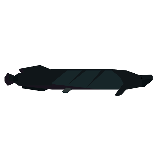 Arapaima