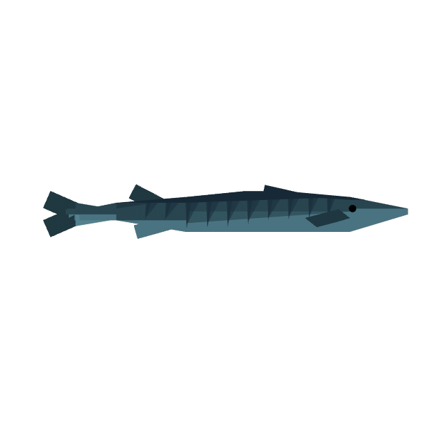 Barracuda