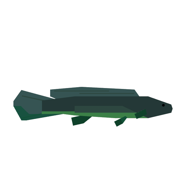 Bowfin
