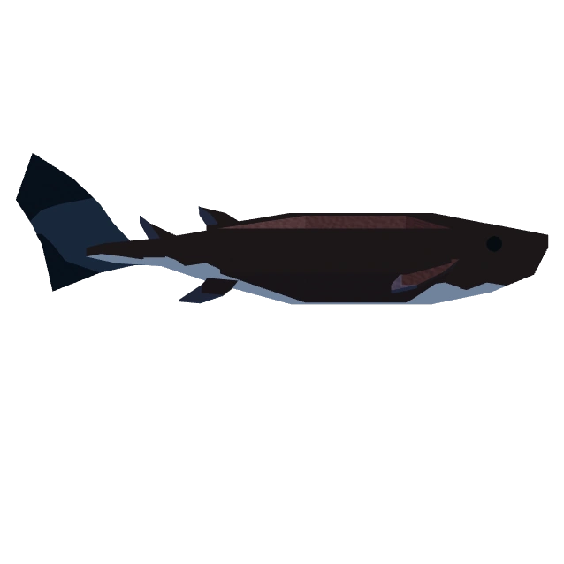 Cookiecutter Shark