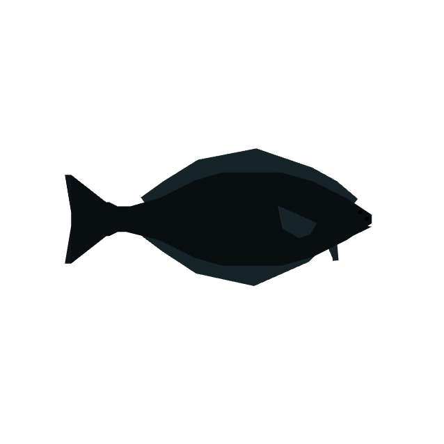 Halibut