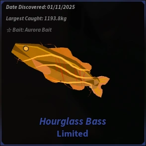 Hourglass Bass
