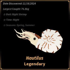Nautilus