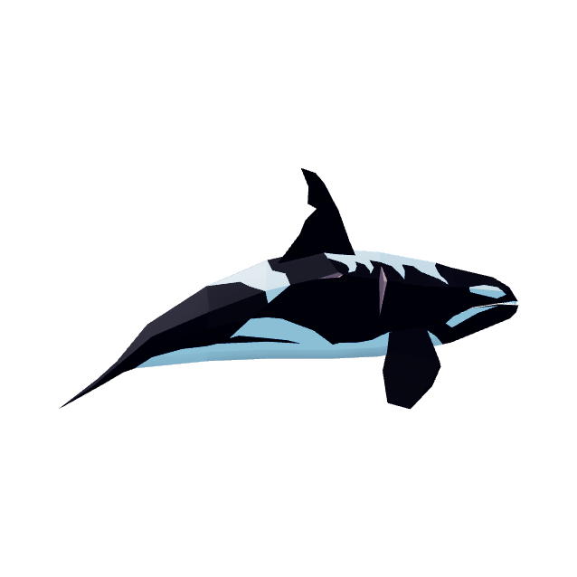 Orca