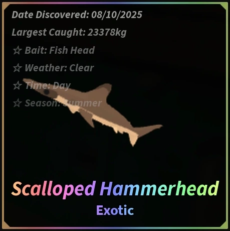 Scalloped Hammerhead