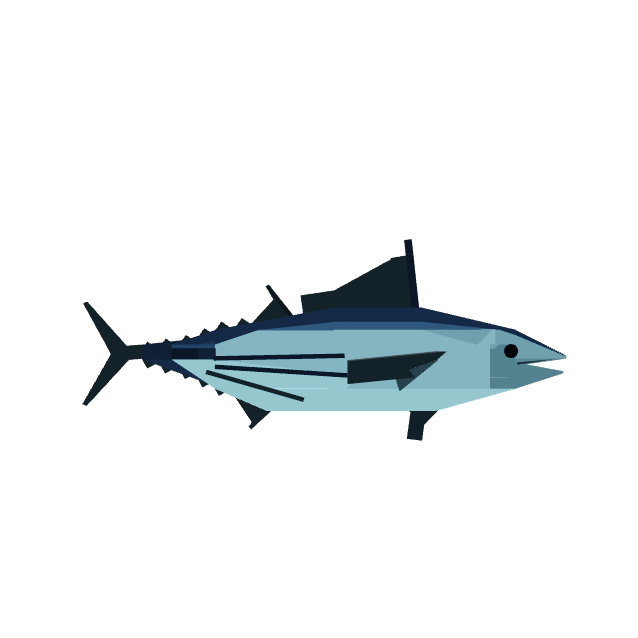 Skipjack Tuna