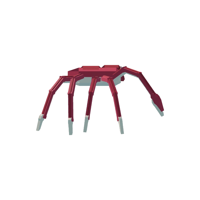 Spider Crab