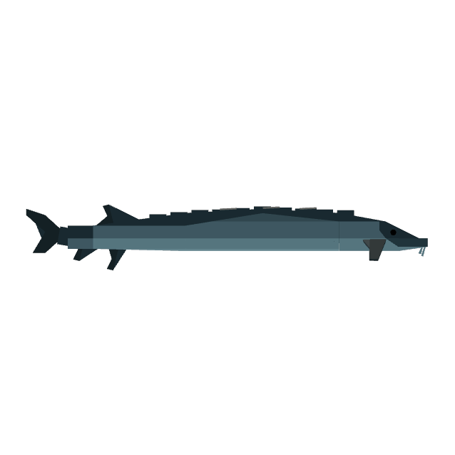 Sturgeon