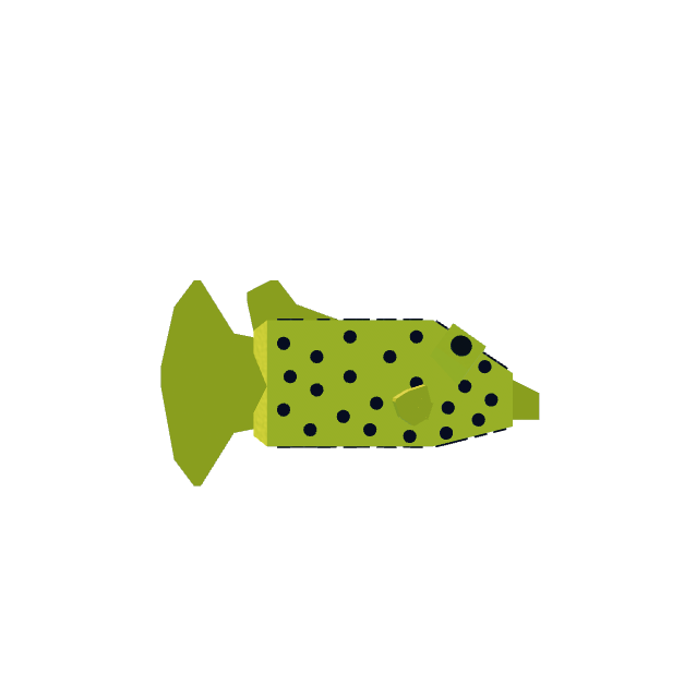 Yellow Boxfish