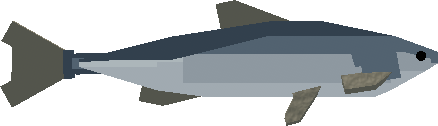 Sardine