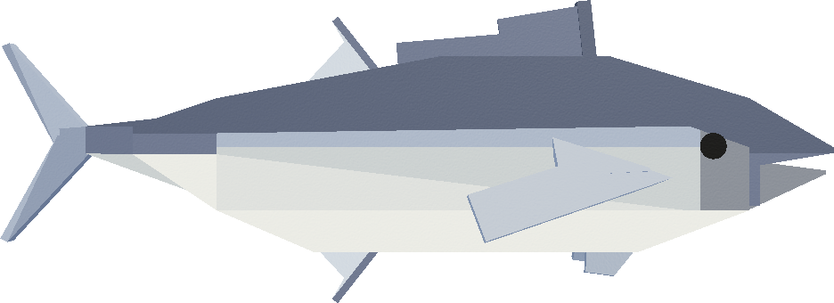 Bluefish Tuna